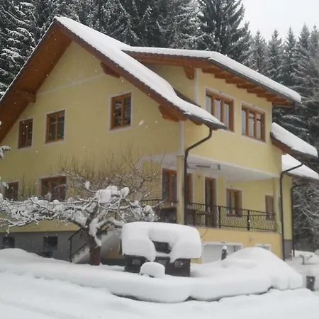 Apartman Pletz *